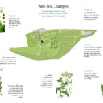 Plan de l'Atelier Botanique Herbier Port-Royal des Champs